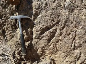 ردپای دایناسور، مهمترین جاذبه گردشگری شهرستان زرند