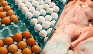 حمله کیهان به دولت: چرا صادرات مرغ، تخم مرغ و تن ماهی را آزاد کردید؟