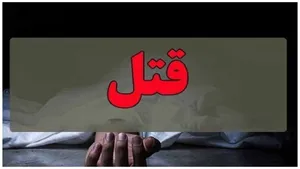 شوهرم معتاد و همیشه مست بود و به من خیانت می کرد/ برای اینکه انتقام بگیرم با یک مرد متاهل آشنا شدم و او را کشتم