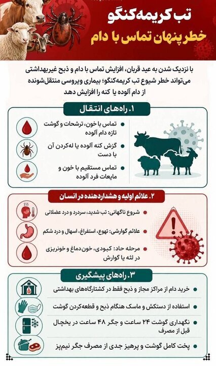 تب کریمه کنگو