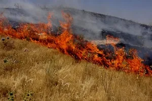 آتش‌سوزی در نیزار‌های محدوده تالاب میقان اراک