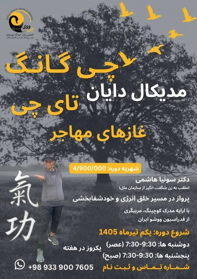 دایان چیگانگ طبی دایان چیگانگ طبی