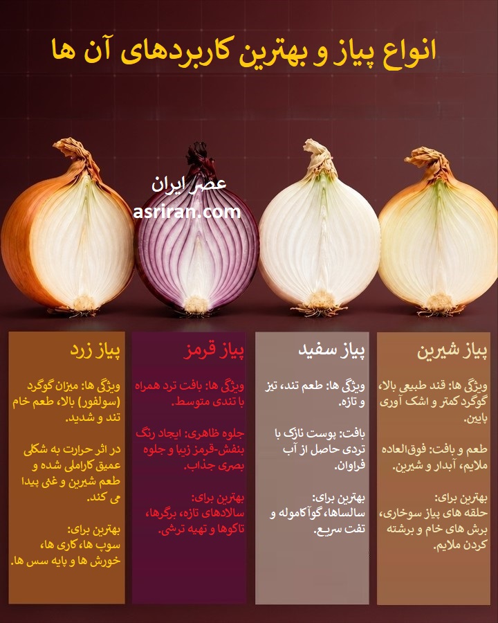 اینفوگرافیک مقایسه پیاز زرد، پیاز قرمز، پیاز سفید و پیاز شیرین