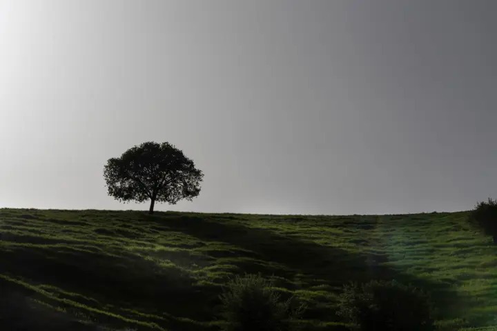 مشایخ؛ دهستانی بکر که طبیعت در آن نفس می‌کشد