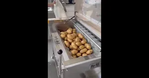 شستشوی سیب زمینی ظرف سی ثانیه