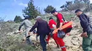 حمله خرس به دو محیط بان در جنگل آلمه خراسان شمالی