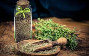 تاثیر آویشن در غیرفعال کردن ویروس‌ها