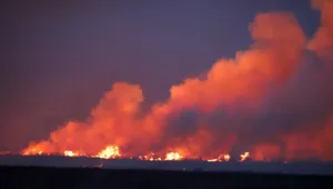 آتش‌سوزی گسترده در تالاب میقان اراک؛ تا ۷۰ هکتار از نیزارها سوخت / احتمال عمدی بودن حریق