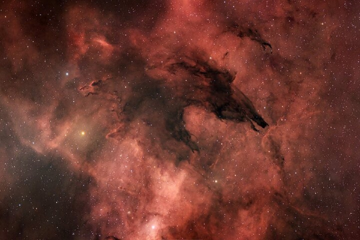 «سحابی گرگ تاریک»(Dark Wolf Nebula)، ابری از گرد و غبار وهم‌آلود است که درون «سحابی آدامس ۵۵»(Gum 55 Nebula) در صورت فلکی «کژدم»(Scorpius) قرار دارد.