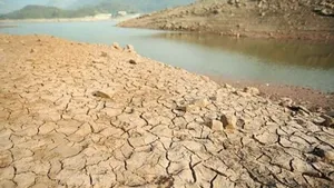 احیای تالاب‌ها؛ فعلا نشدنی