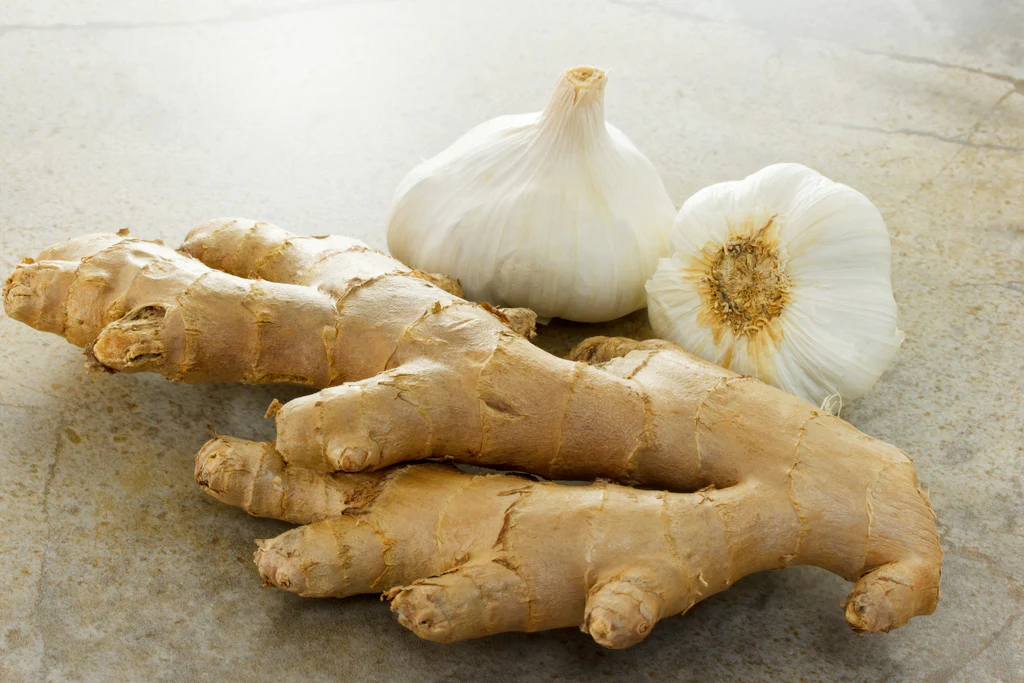 سیر و زنجبیل تازه