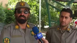 از راکون تا مار؛ جزئیات کشف گونه‌های مختلف جانوری در ویلایی در تهران