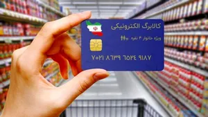 دولت نجنبد، طرح ملی کالابرگ به فنا می رود