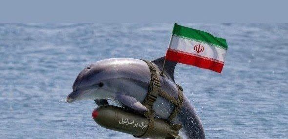 تصویر ساختگی از دلفین‌ انتحاری