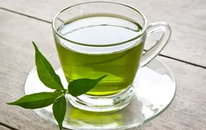 نحوه مصرف چای سبز برای تقویت مفاصل