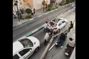 سقوط درخت خشک در بلوار آیت‌الله کاشانی بر اثر وزش باد شدید