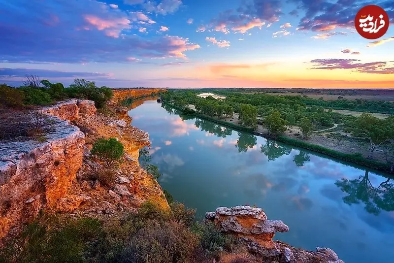 ماری