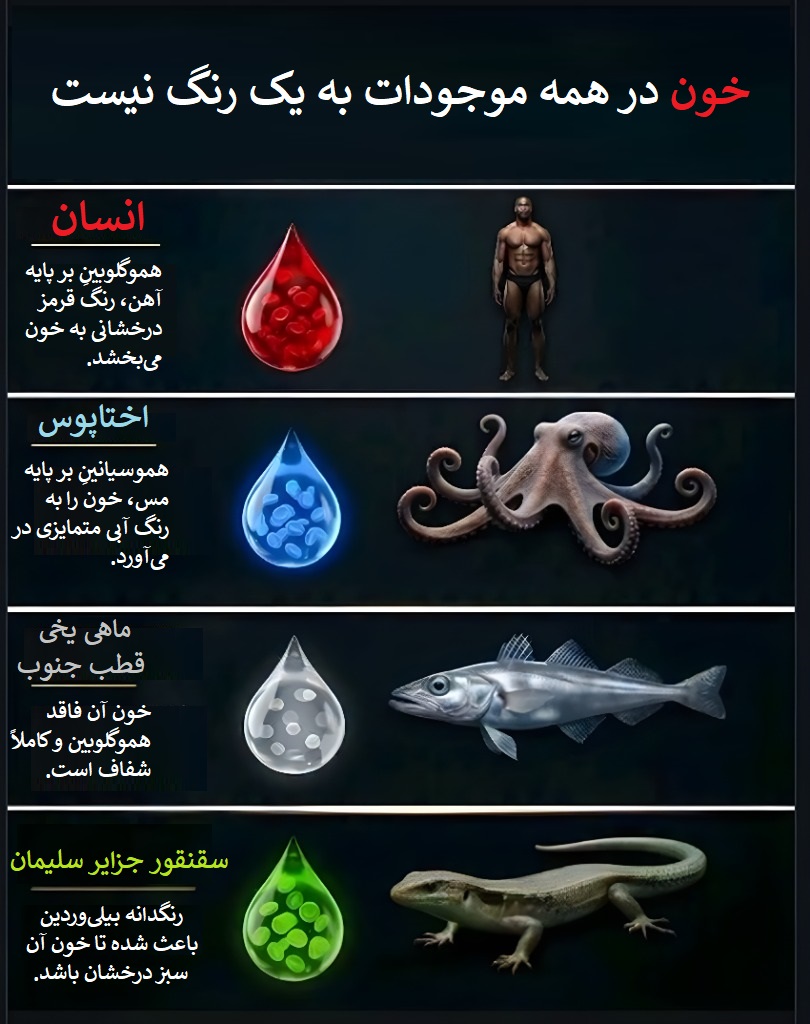 اینفوگرافیک مقایسه رنگ خون