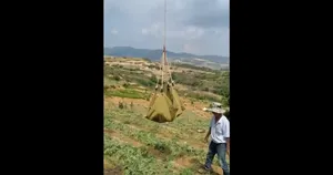 انتقال هندوانه با پهپاد در چین