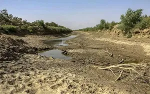 تالاب هورالعظیم بستر مستعد آتش سوزی