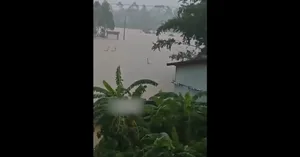 حمله ۹۰۰ مار به ساکنان مردم چین