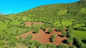 هشدار دستگاه قضا درباره تبلیغات فروش اراضی جنگلی مازندران در فضای مجازی