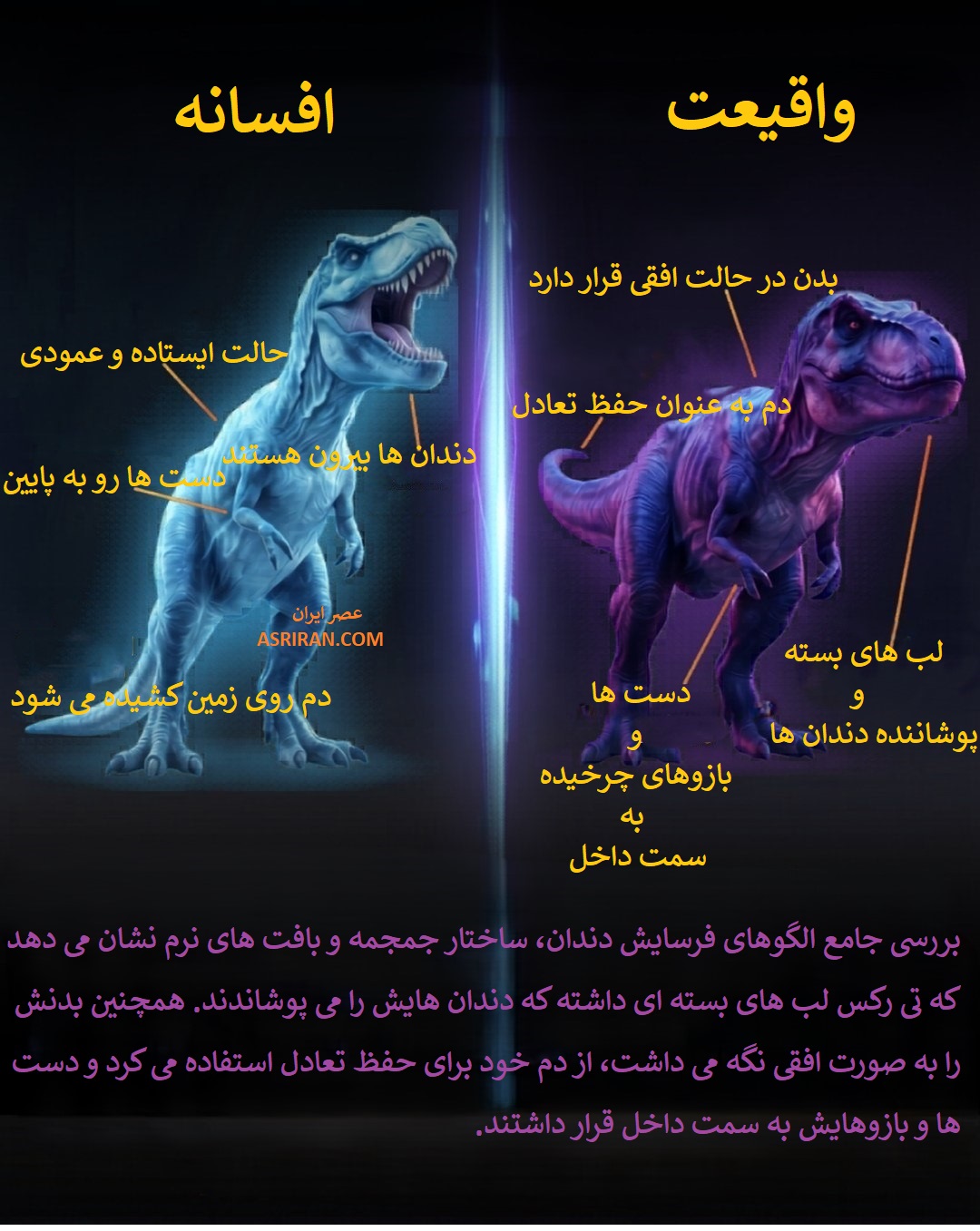برای دهه ها، فرهنگ عامه تیرانوسوروس رکس را به شکل هیولایی ایستاده با دمی کشیده روی زمین و دندان هایی بزرگ و بیرون زده به تصویر می کشید. اما دیرینه شناسی مدرن جانوری کاملا متفاوت را نشان می دهد. البته فیلم های مطرح هالیودی نیز در نشر این تصور درباره یکی از مطرح ترین دایناسورهای دنیا نقش مهمی داشته اند.