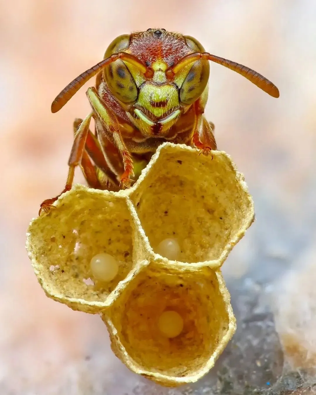 1208