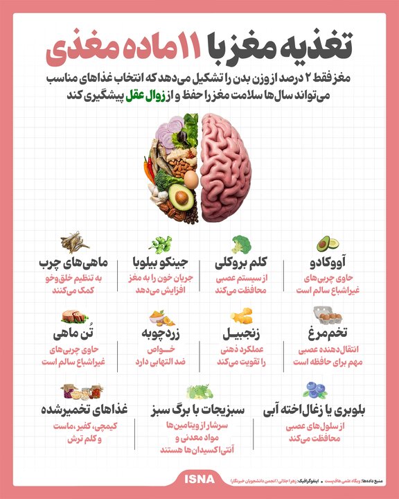 تغذیه مناسب نه‌تنها برای سلامت جسم، بلکه برای سلامت مغز و عملکرد شناختی نیز حیاتی است. مغز فقط ۲ درصد از وزن بدن را تشکیل می‌دهد که انتخاب غذاهای مناسب می‌تواند سال‌ها سلامت مغز را حفظ و از زوال عقل پیشگیری کند.