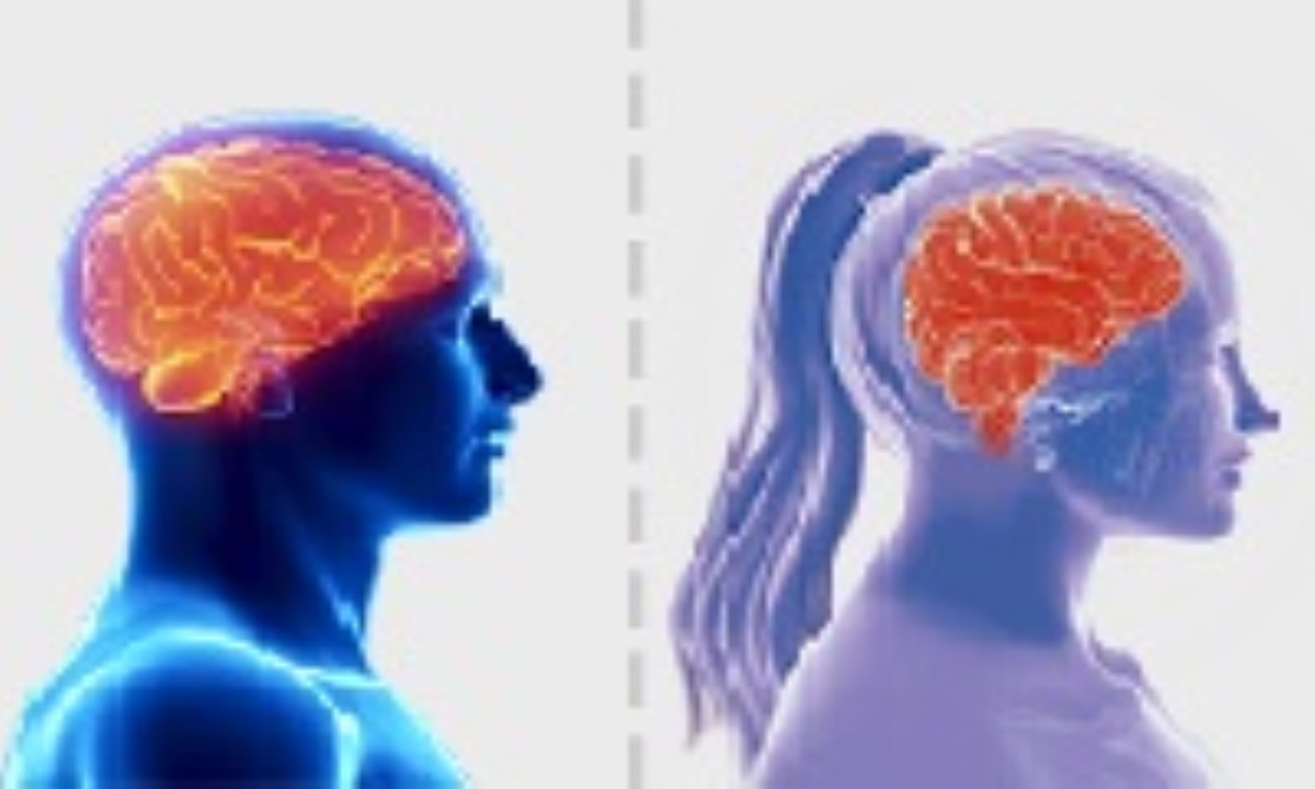 سیم کشی متفاوت مغز زن و مرد