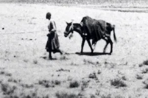 چشم‌انداز اردوی سلطنتی در «رباط کریم»؛ 135 سال قبل