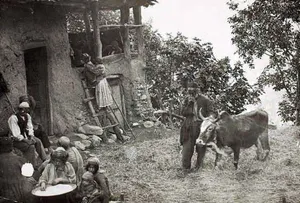 بُنه در زندگی دهقانی چه بود؟