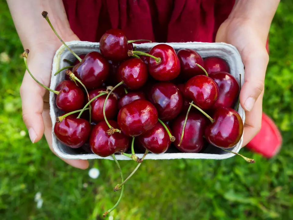 میوه های تابستانی