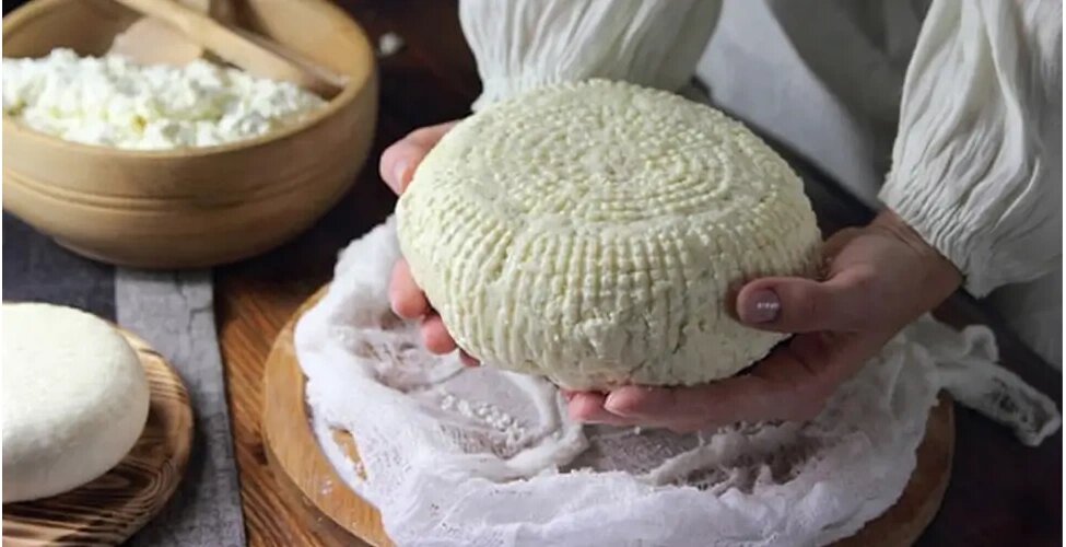 روش تهیه پنیر خانگی فوری