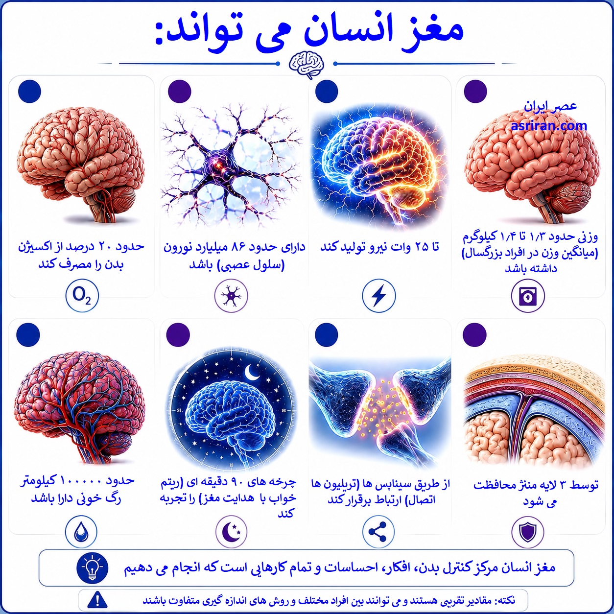 اینفوگرافیک از پیچیدگی های شگفت انگیز مغز انسان