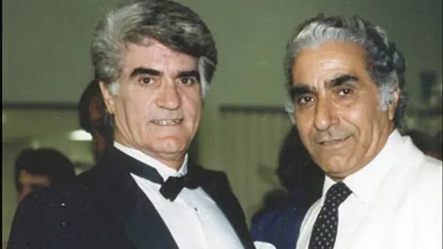 ویگن ؛ گلنسا جونم کارا بهتر می شه! (+صدا)