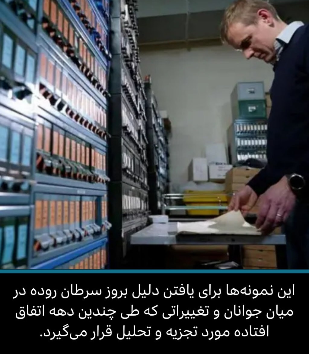 پروفسور ترور گراهان از مرکز پژوهش‌های سرطان نمونه‌های سرطان روده را بررسی می‌کند