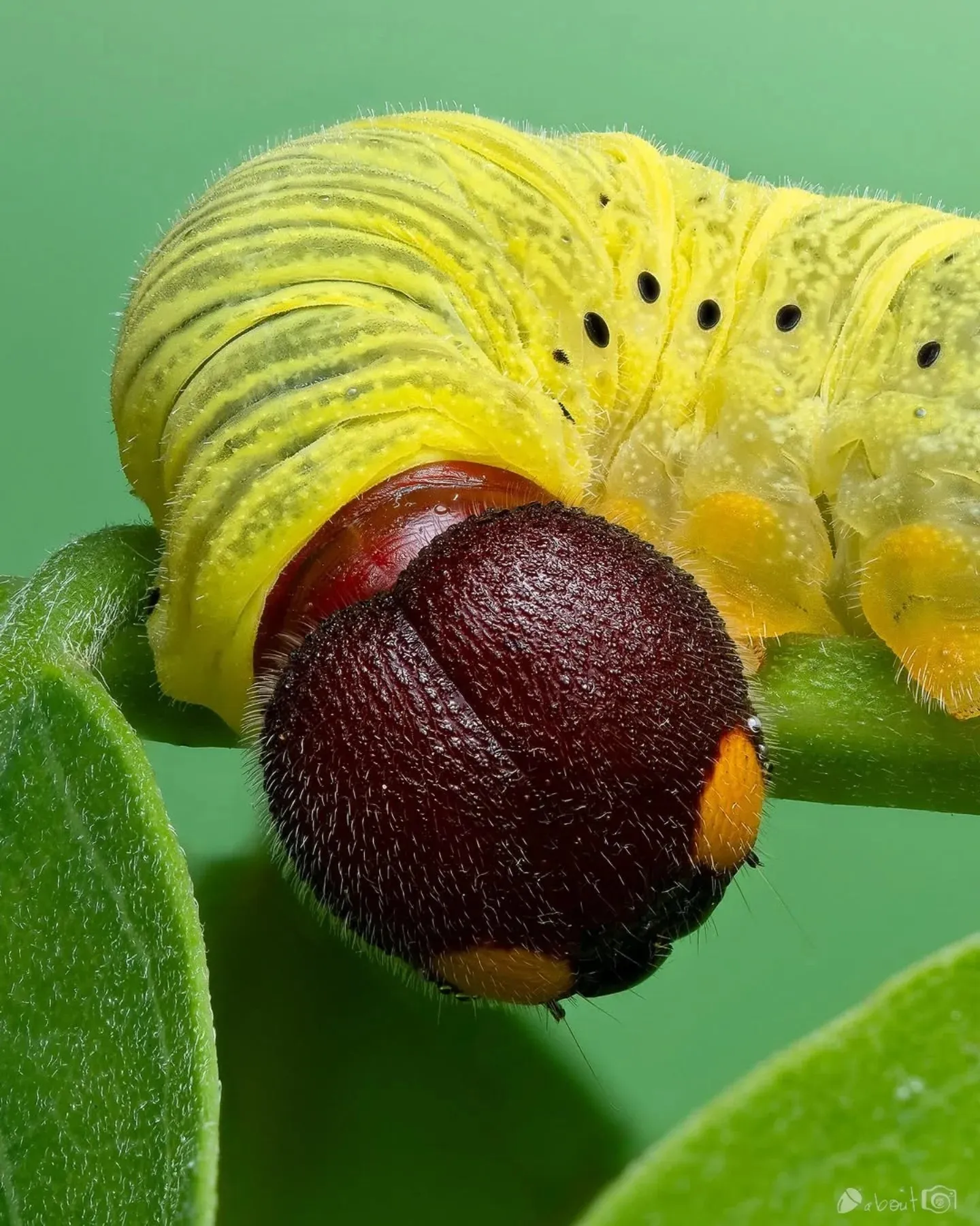0748 0748