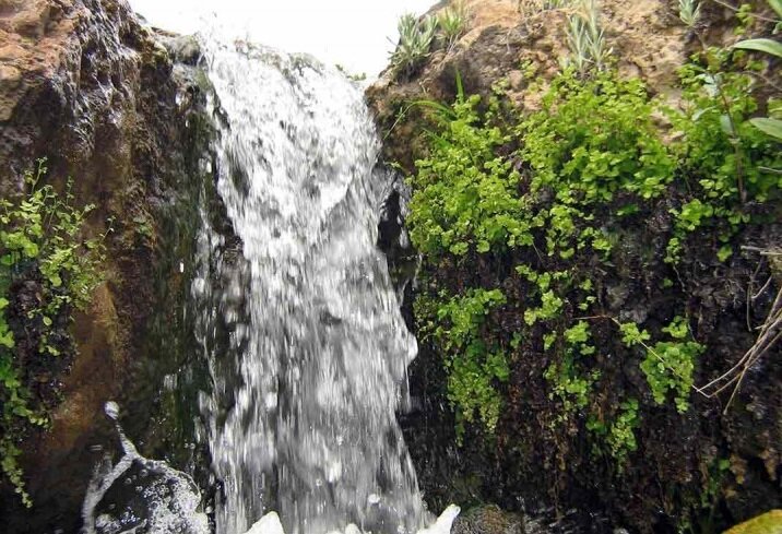 بهشت طبیعت‌گردان در دامنه کوه بانکول