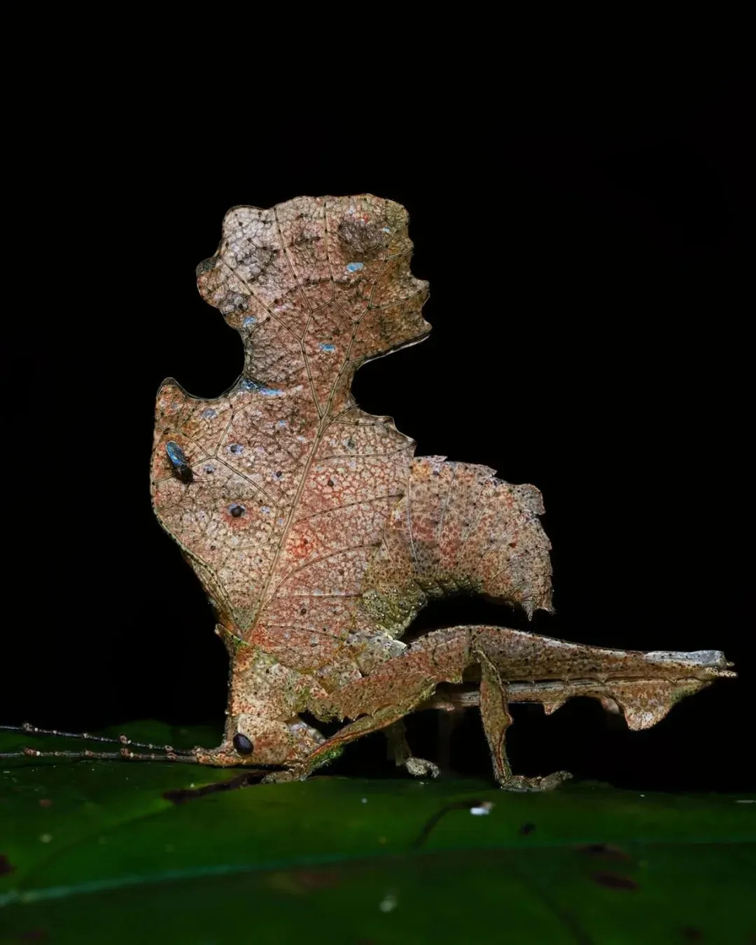 1501