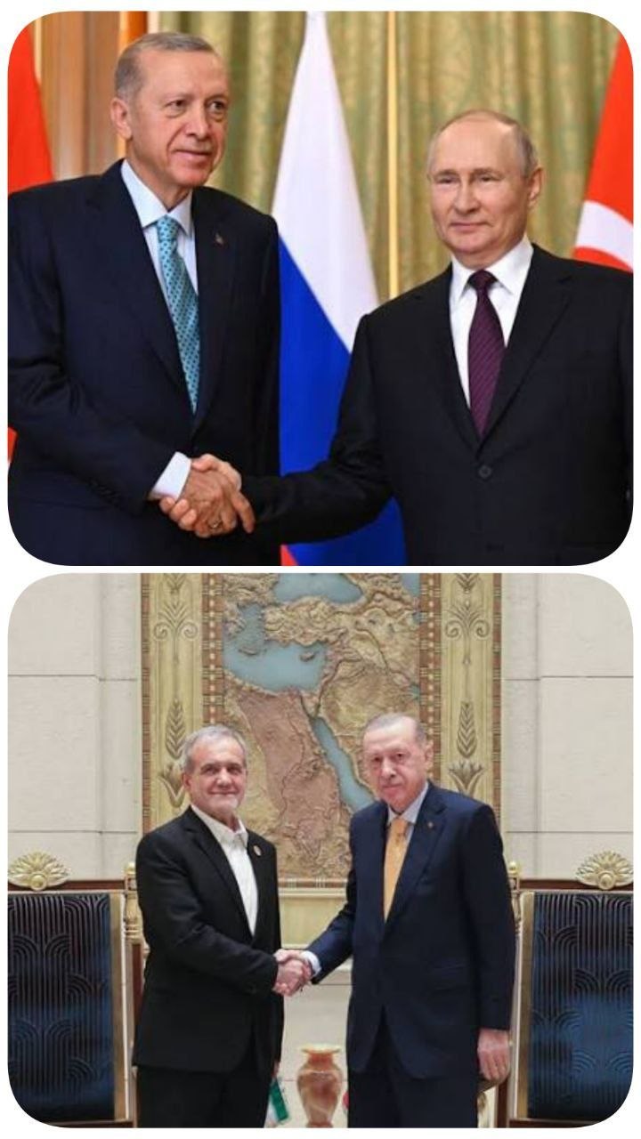 کُلتِ نمادینِ اردوغان و سیاستِ هوشمندانه اش