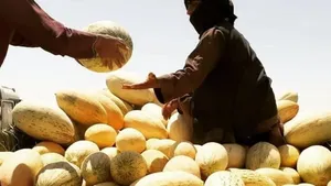 تصاویری از جان باختگان خرید خربزه از دستفروش در اتوبان مشهد