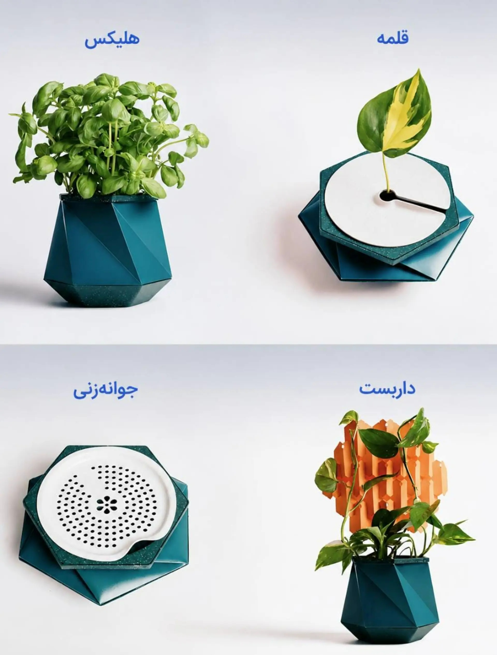 گلدانی که همراه گیاه بزرگ می‌شود؛ ایده‌ای نو برای خداحافظی با تعویض گلدان
