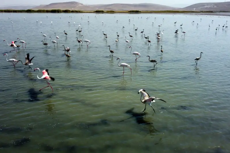 تالاب سولدوز