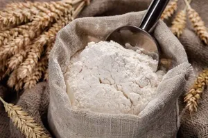 مردم برای تأمین گندم، آرد و نان نگرانی نداشته باشند