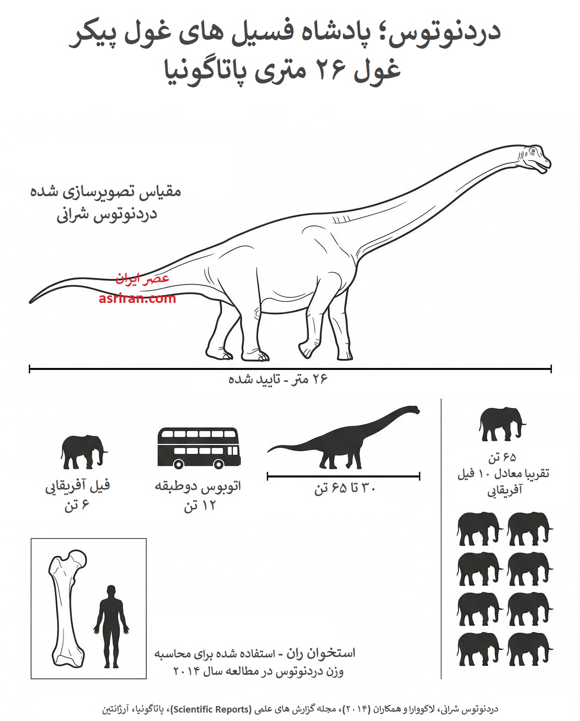 اینفوگرافیک مشخصات دایناسوری به نام دردنوتوس شرانی اینفوگرافیک مشخصات دایناسوری به نام دردنوتوس شرانی