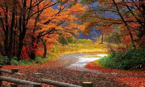 جاهای دیدنی بندر ترکمن در پاییز؛ یک پالت رنگ طبیعی برای عکاسی (+عکس)
