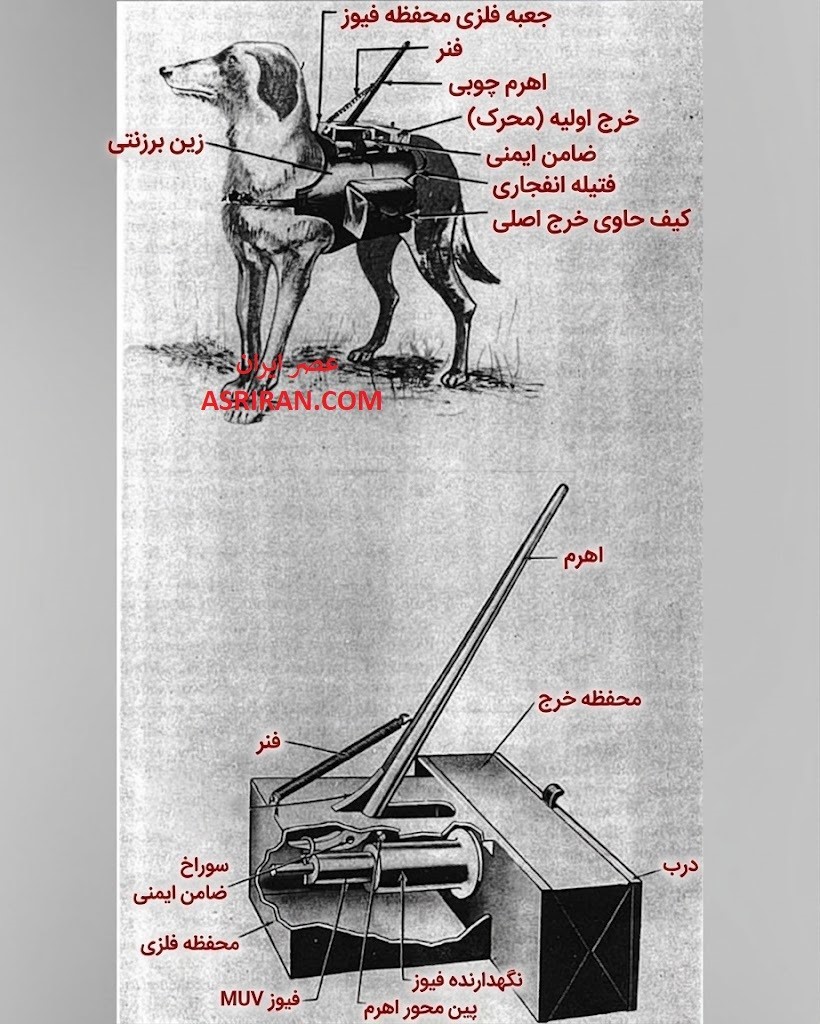 وقتی بنزین کار دست شوروی داد! / عملیاتی که سوژه طنز تبلیغات آلمانی ها شد (+عکس)
