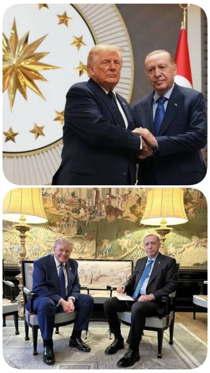 کُلتِ نمادینِ اردوغان و سیاستِ هوشمندانه اش