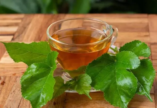 دمنوش برگ توت سفید